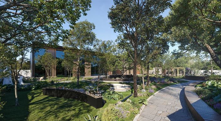 קבלת הפנים NOÉ נואה #3