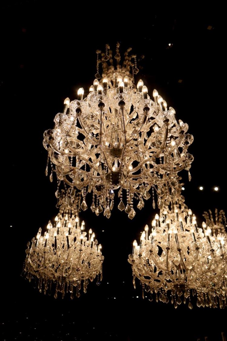 צילום: יהונתן בטיטו