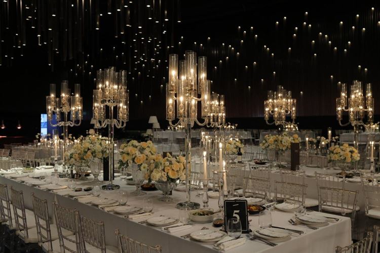 צילום: דור סויסה