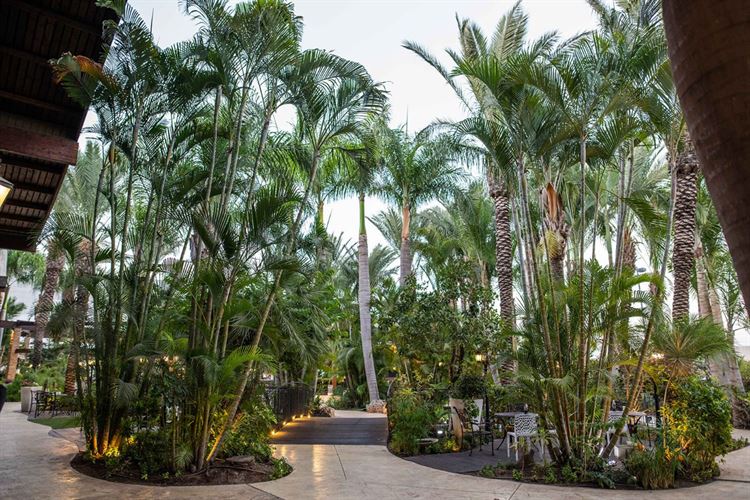 צילום: וואלה מזל טוב