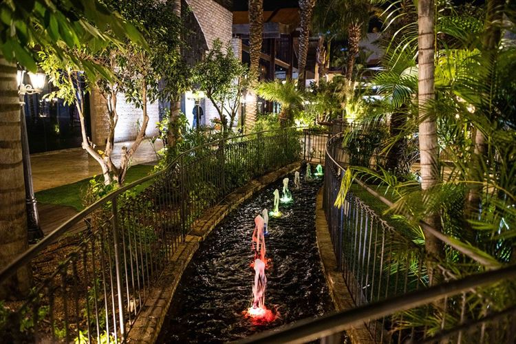 צילום: וואלה מזל טוב