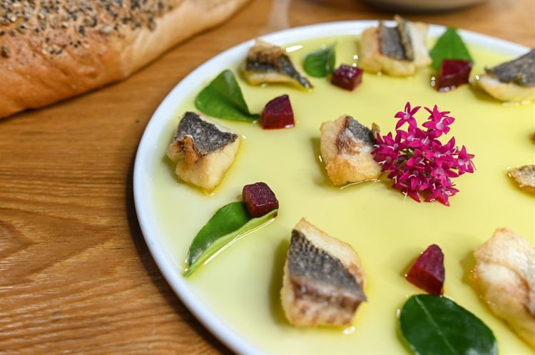 צילום: וואלה מזל טוב