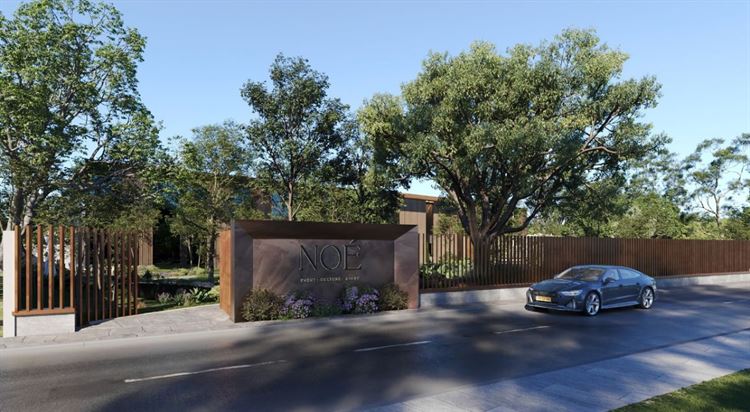 הכירו את NOÉ נואה: הדור הבא של עולם האירועים 12