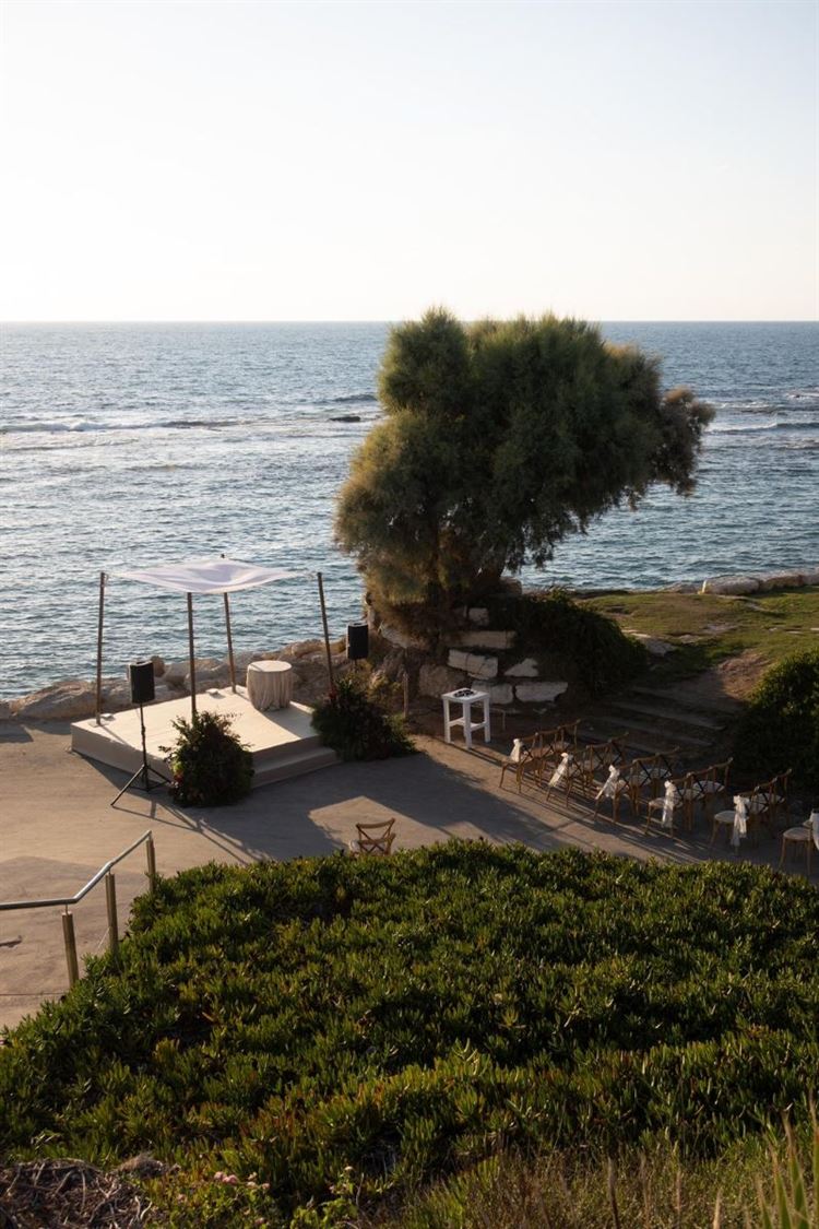 צילום: your story