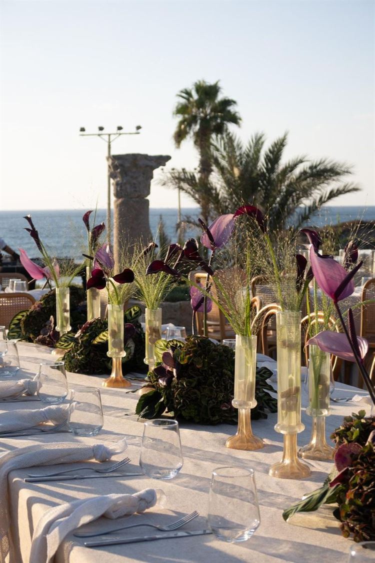 צילום: your story