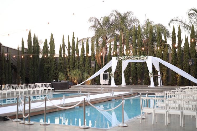 צילום: לירון אטדגי