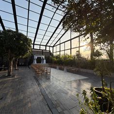 באסיקו: כשהגשם בחוץ - הקסם מתחבא בתוך הגן המקורה