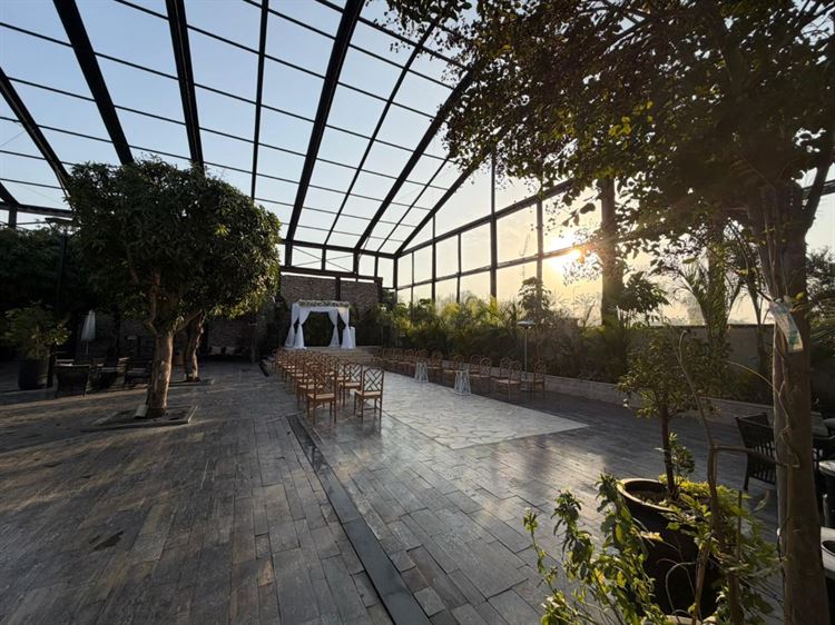 צילום: וואלה מזל טוב