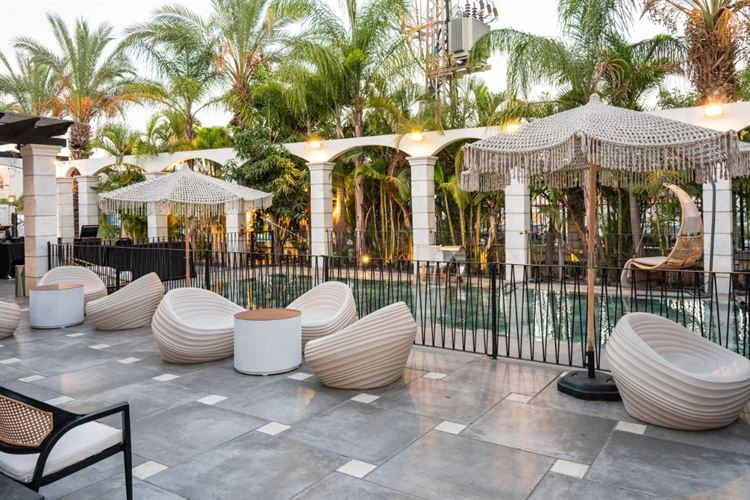 צילום: וואלה מזל טוב