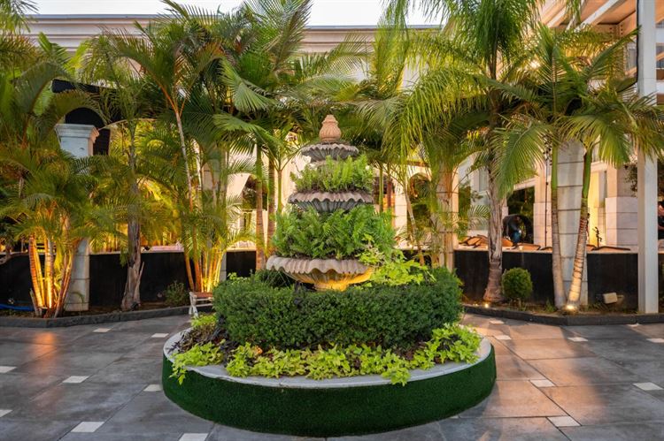 צילום: וואלה מזל טוב