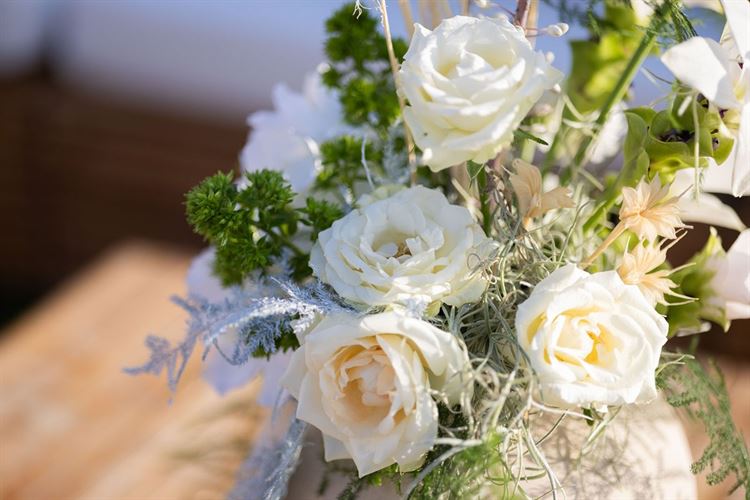 צילום: People Photography