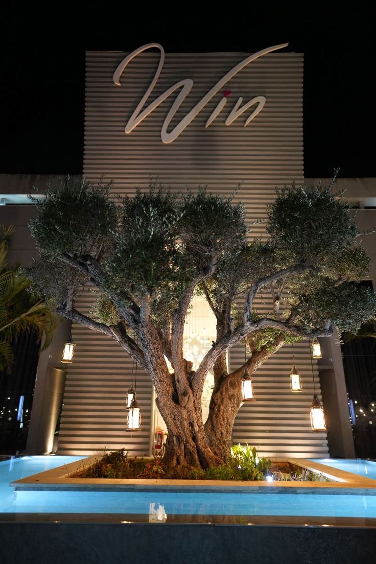 צילום: לירוי ואביעד צלמים