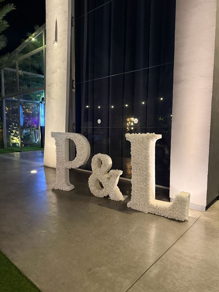 צילום: נוי בלולו