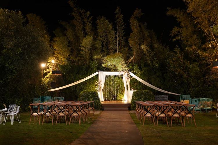 צילום: רון קובי