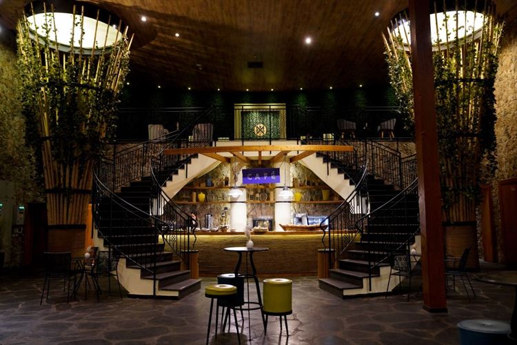 צילום: רון קובי