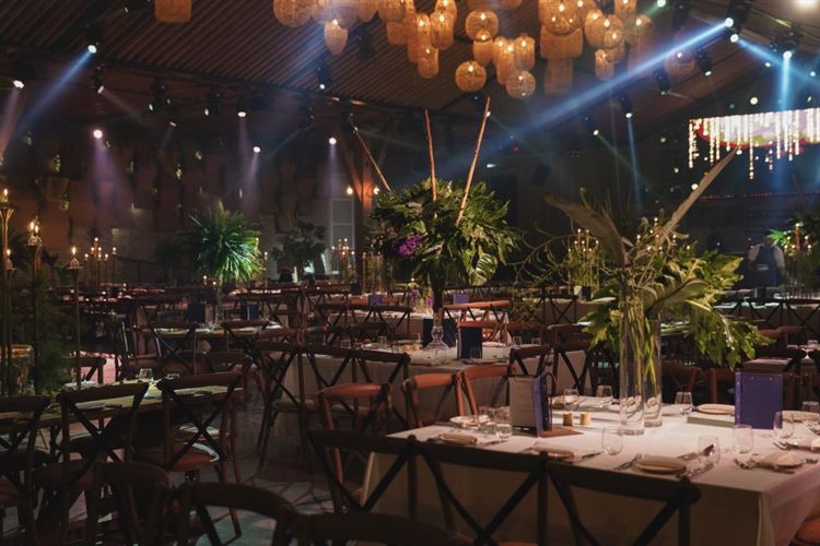 צילום: רון קובי