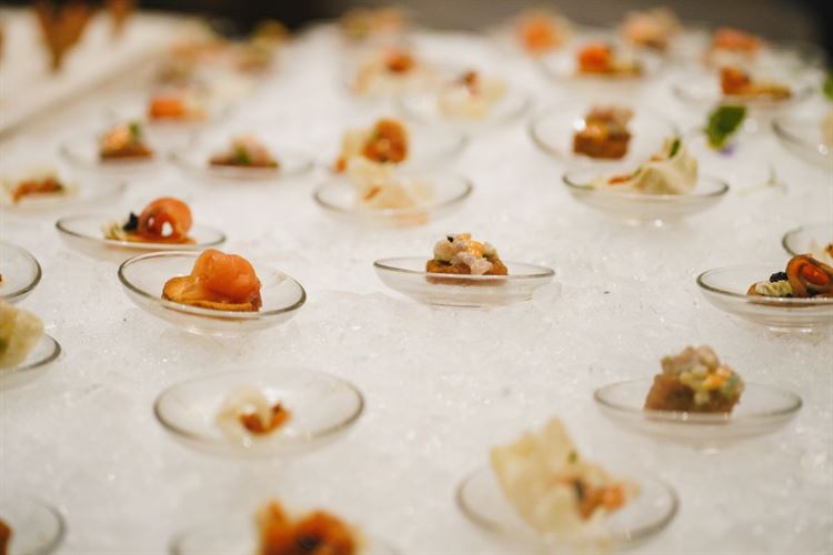 צילום: רון קובי