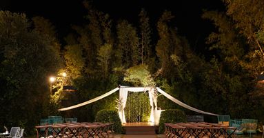 אלכסנדר: חוויית אירוח קולינרית שלא דומה לשום דבר אחר