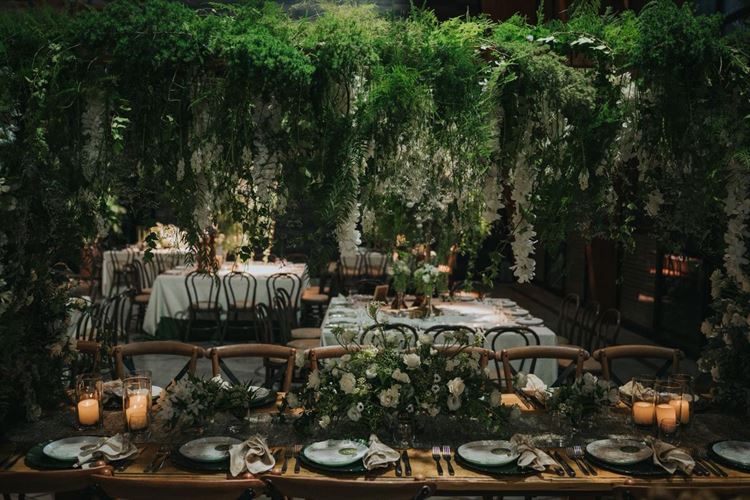 צילום: עידן חסון