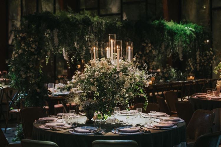 צילום: עידן חסון