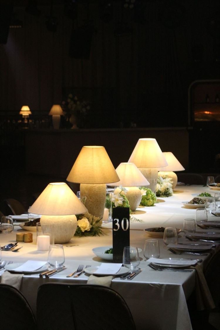 צילום: ברנדו צלמים