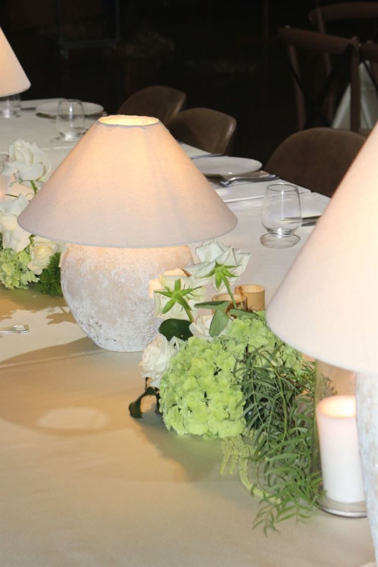 צילום: ברנדו צלמים