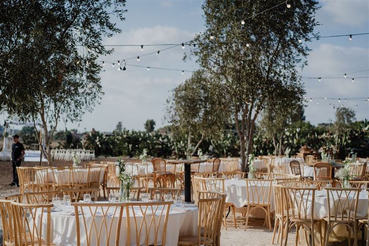 צילום: מאיה אמדו