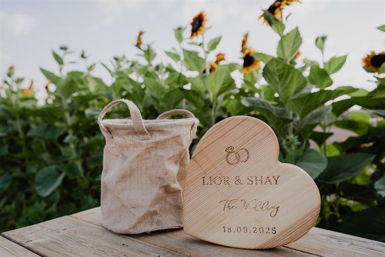 צילום: מאיה אמדו