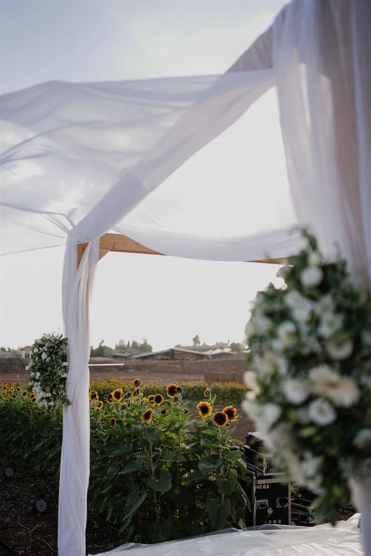 צילום: מאיה אמדו