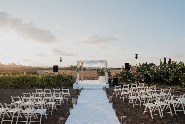 צילום: מאיה אמדו