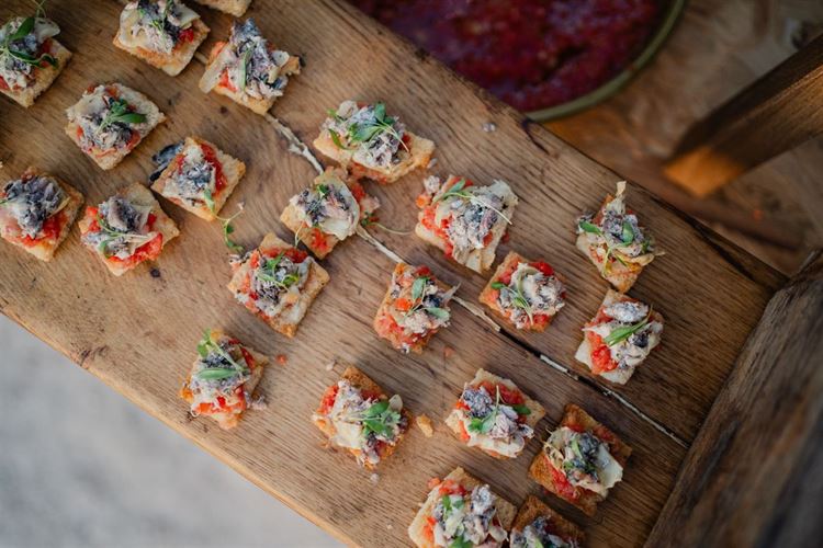 צילום: מאיה אמדו