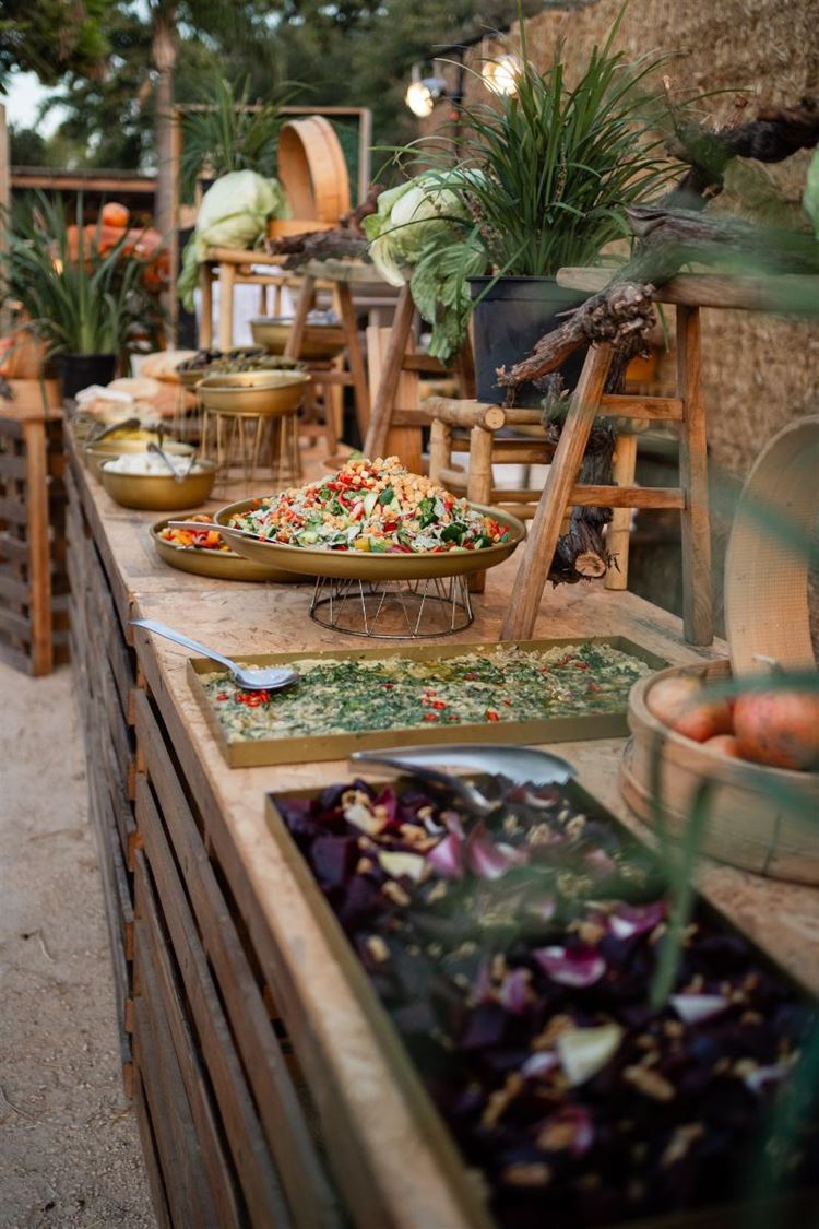 צילום: מאיה אמדו