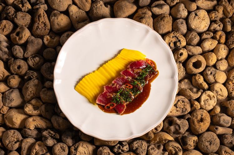 צילום: וואלה מזל טוב