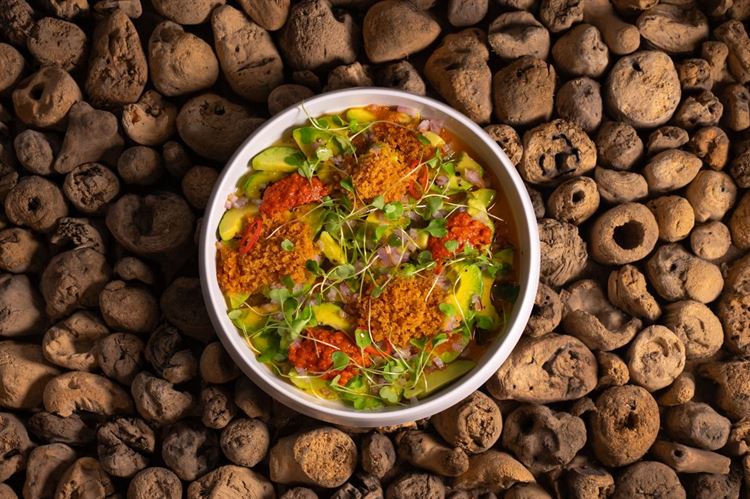 צילום: וואלה מזל טוב