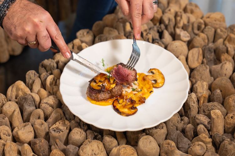 צילום: וואלה מזל טוב