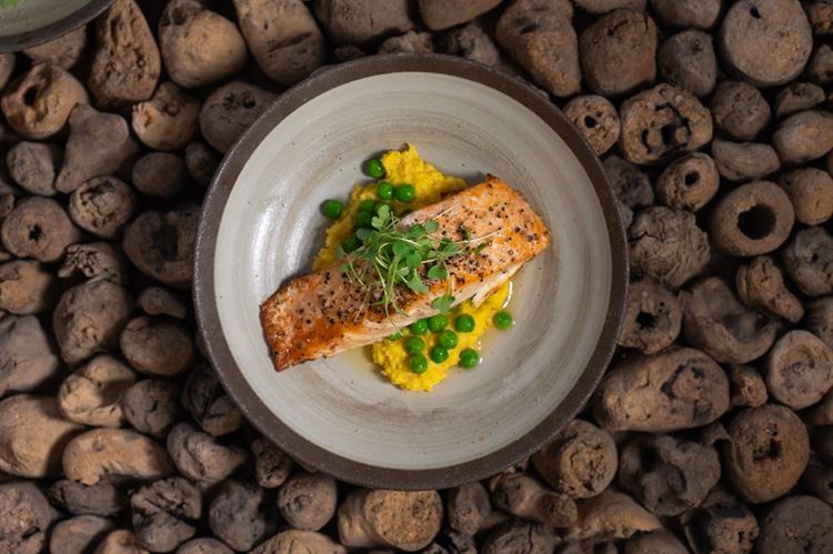 צילום: וואלה מזל טוב