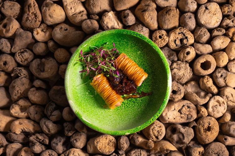 צילום: וואלה מזל טוב