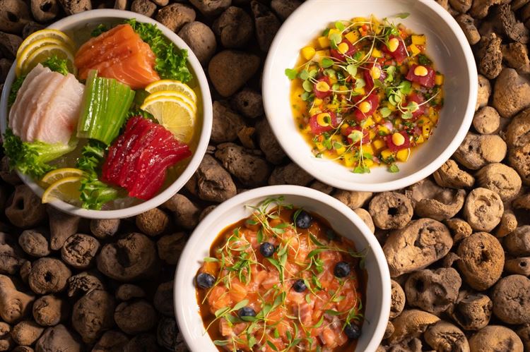 צילום: וואלה מזל טוב