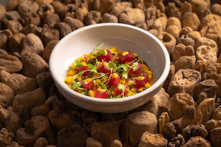 צילום: וואלה מזל טוב