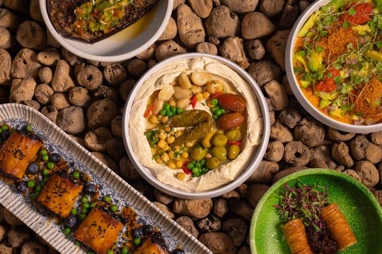 צילום: וואלה מזל טוב