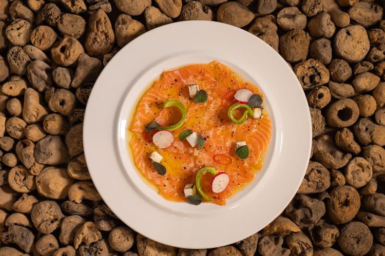 צילום: וואלה מזל טוב