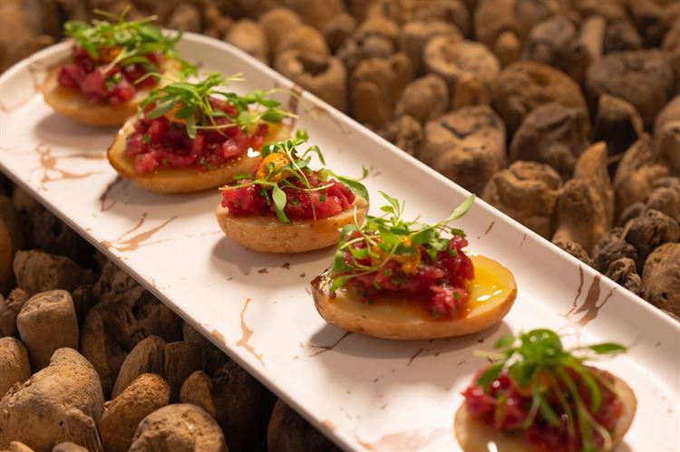 צילום: וואלה מזל טוב