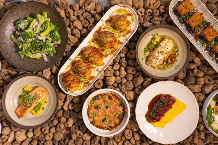 התפריט החדש של טרויה- צילום: וואלה מזל טוב