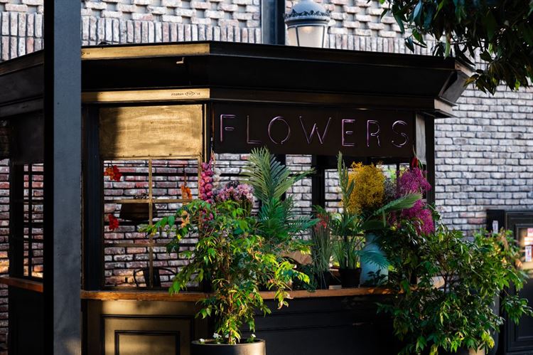 גן אירועים באסיקו- צילום: וואלה מזל טוב