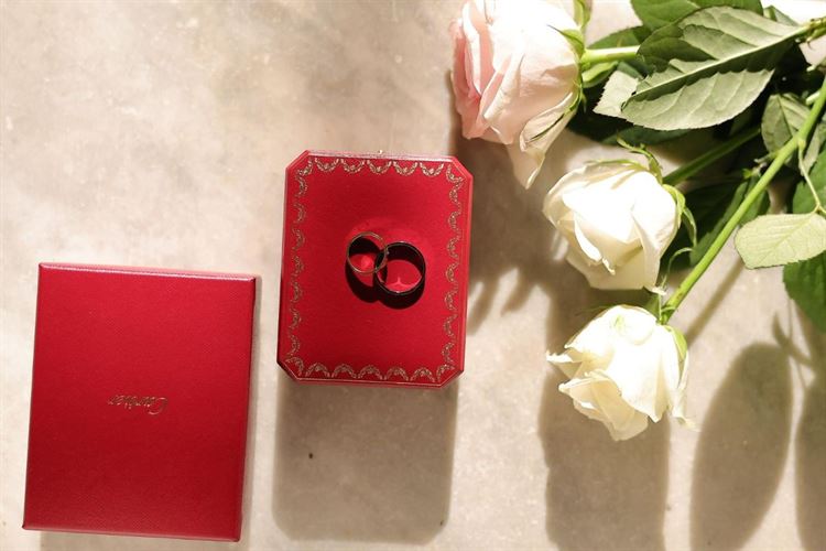 צילום: דור סויסה