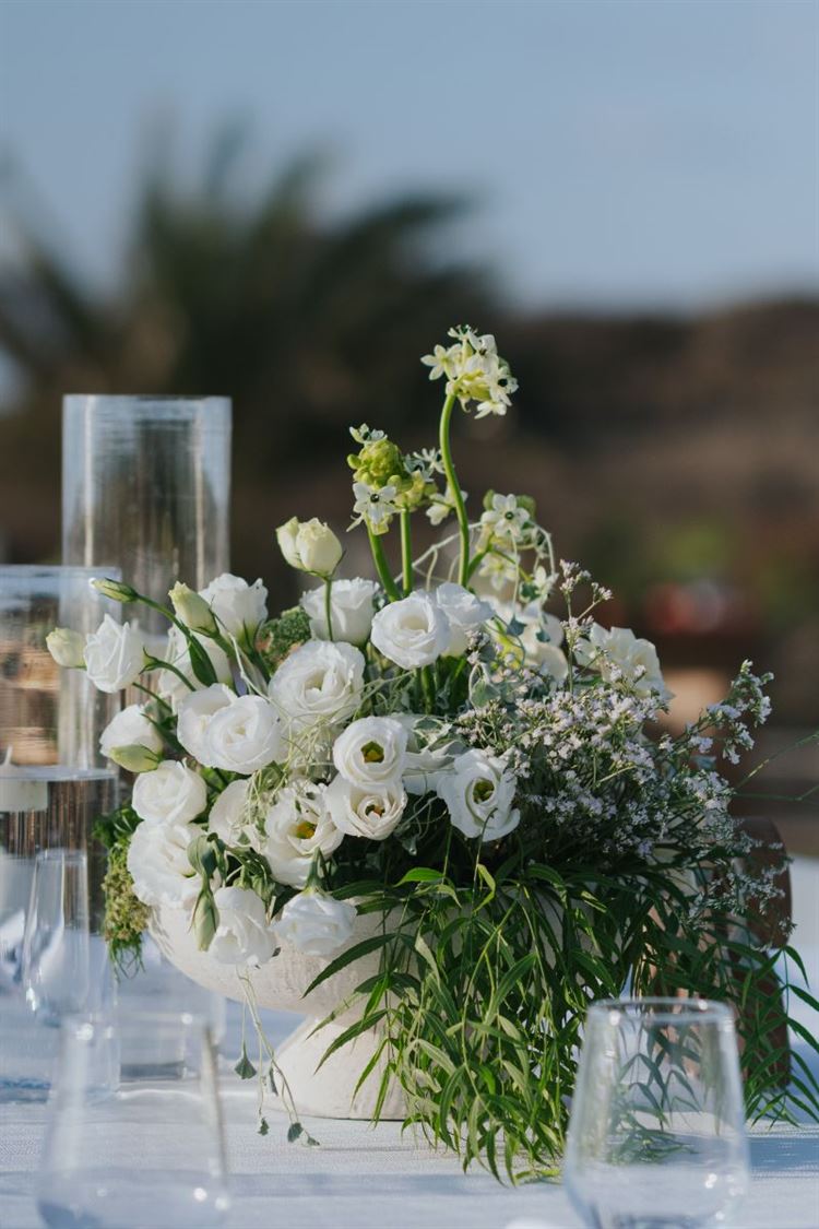 צילום: STUDIO LEVANA (דודו וייצמן וגיא שלום)