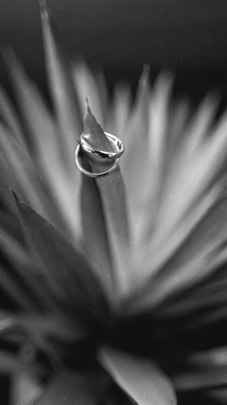 צילום: יניר סלע