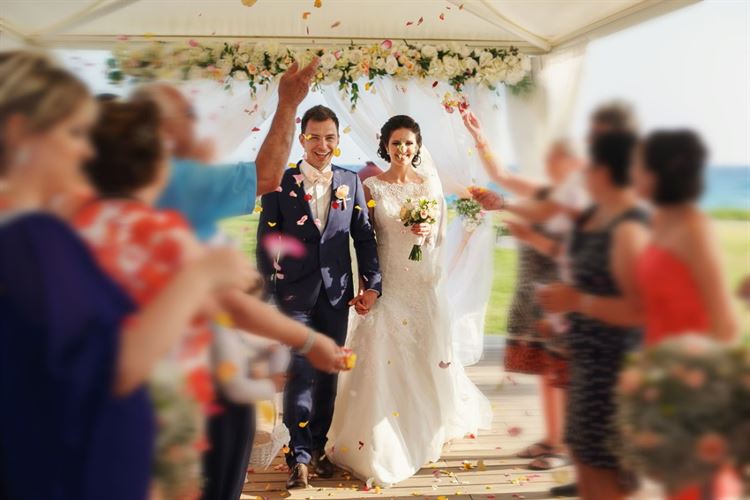 מתוך Shutterstock