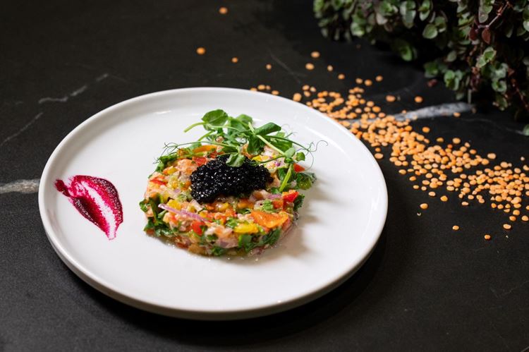 צילום: וואלה מזל טוב