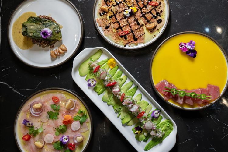 צילום: וואלה מזל טוב